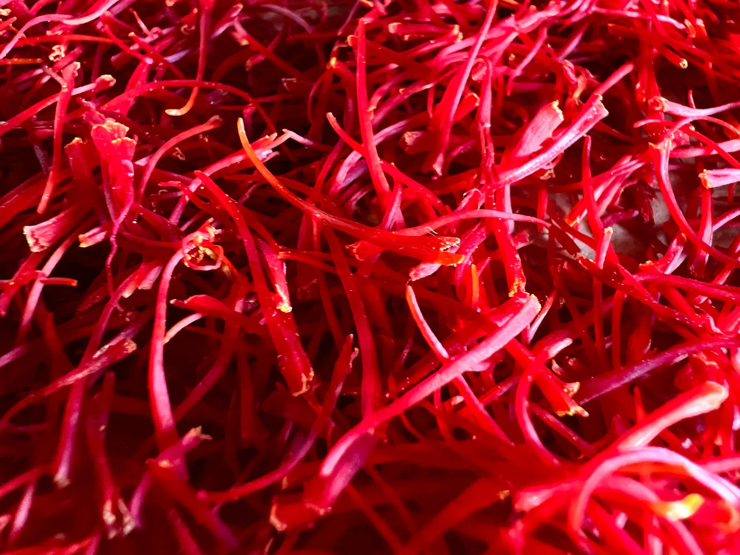 🌞Saffron Crocus Bulb (KESAR) 💎