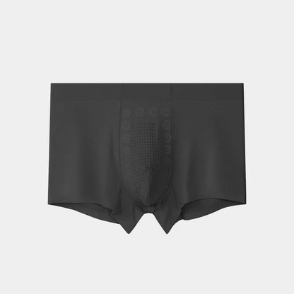 Men's Ice Silk Briefs Boxers (Pack of 5)