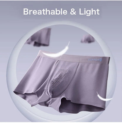 Men's Ice Silk Briefs Boxers (Pack of 5)
