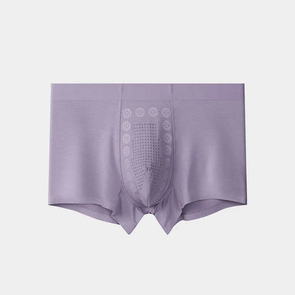 Men's Ice Silk Briefs Boxers (Pack of 5)