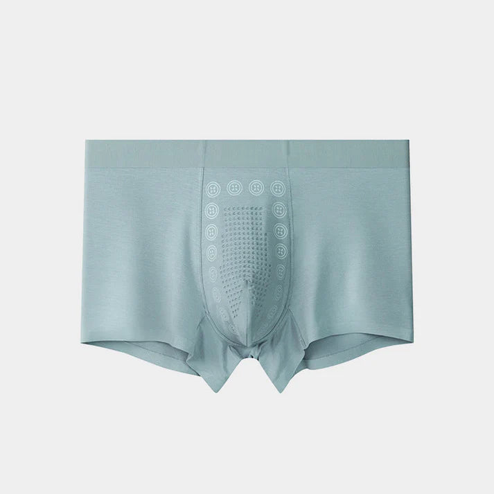 Men's Ice Silk Briefs Boxers (Pack of 5)