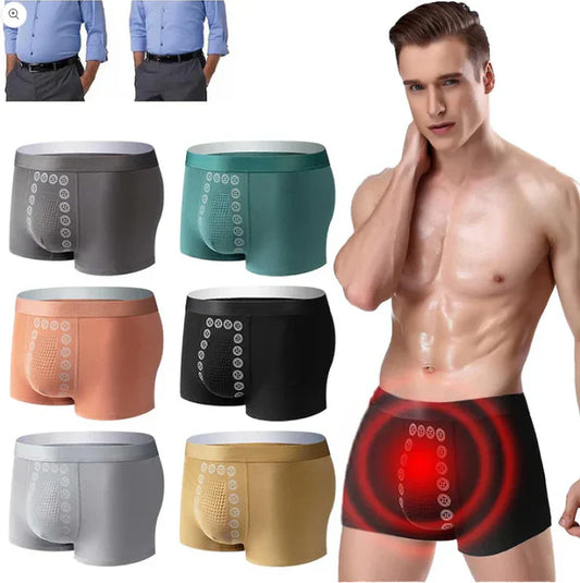 Men's Ice Silk Briefs Boxers (Pack of 5)